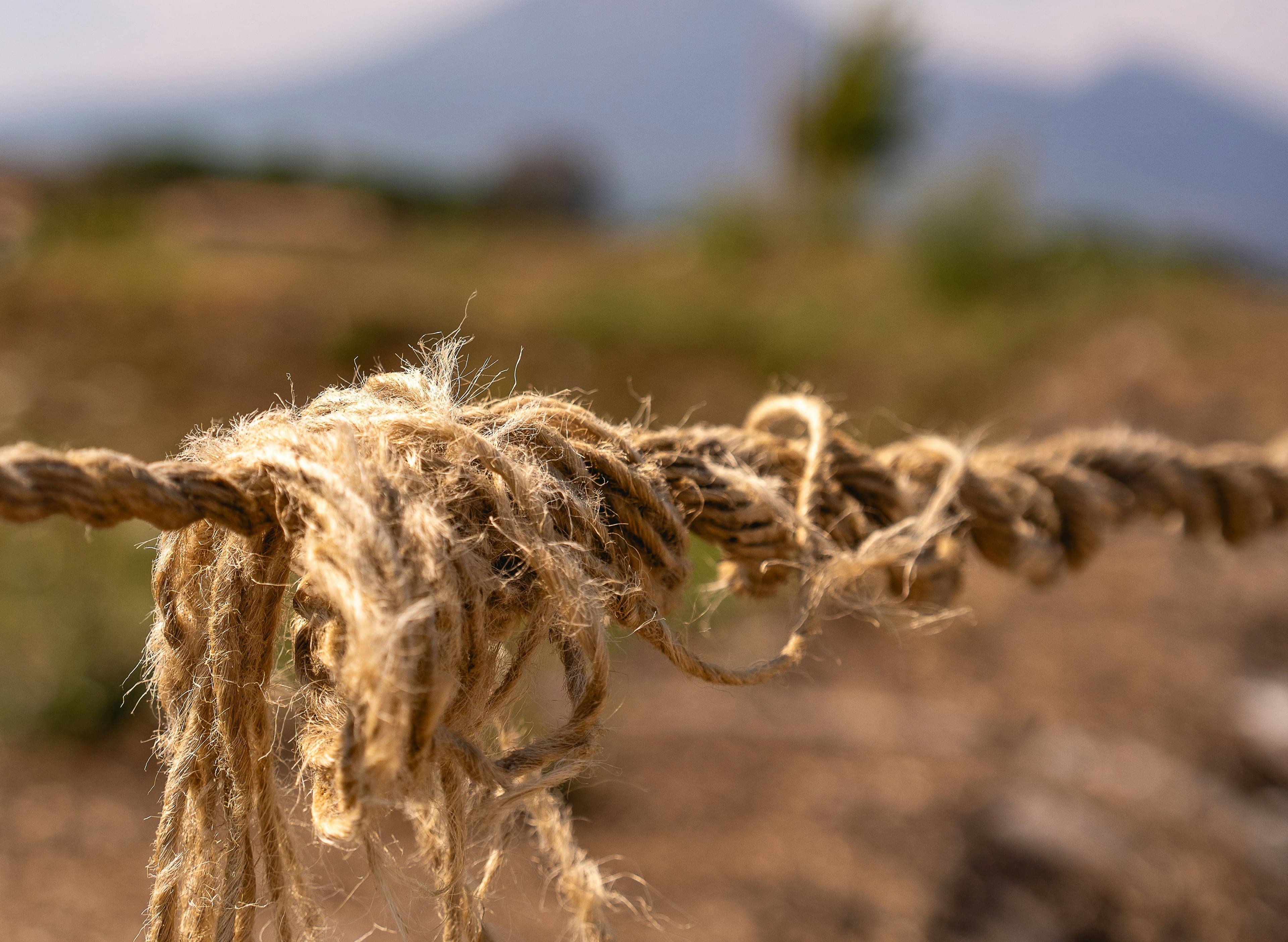 B2B CMOs need to ensure a strong GTM story